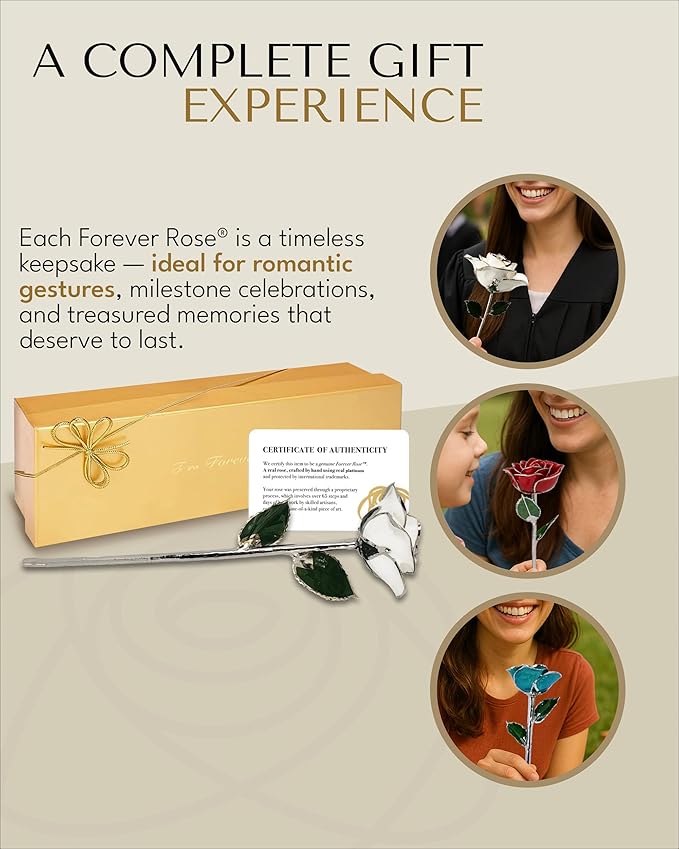 Forever Rose Real Snow White Rose with Platinum Trimmed Petals and Platinum Stem, Handcrafted Preserved Rose in Luxury Gold Gift Box, Romantic Gift for Her, Elegant Gift for Any Occasion