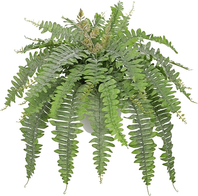 Hollyone Artificial Fern Plants in White Pot 25.5" Medium Artificial Boston Fern 31 Leaves for Outdoors & Indoor Faux Potted Plants Fake Ferns Bush Plant Patio Garden Farmhouse Porch Decor Dusty Green