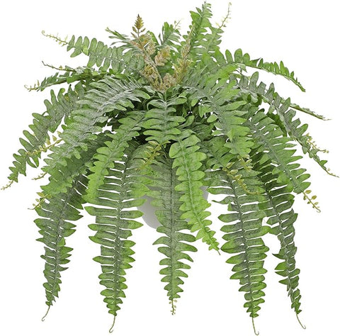 Hollyone Artificial Fern Plants in White Pot 25.5" Medium Artificial Boston Fern 31 Leaves for Outdoors & Indoor Faux Potted Plants Fake Ferns Bush Plant Patio Garden Farmhouse Porch Decor Dusty Green