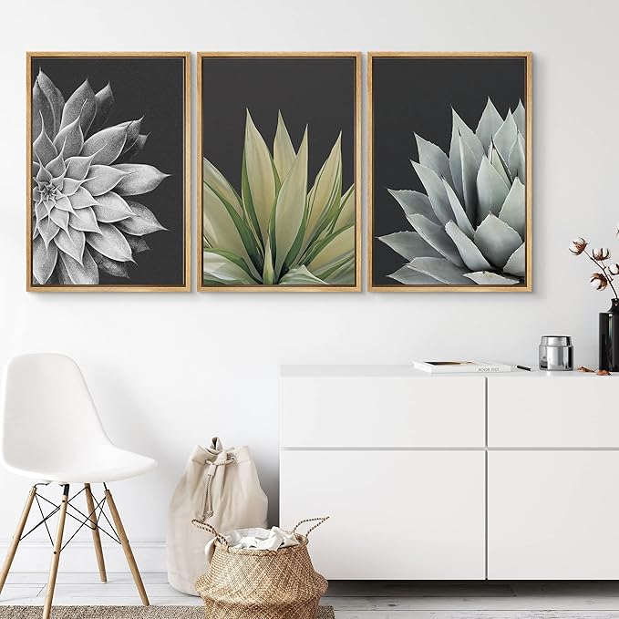 SIGNWIN Framed Canvas Print Wall Art Trio of Echevaria Succulents Floral Plants Photography Modern Art Minimalist Closeup Dramatic Black and White for Living Room, Bedroom, Office - 24"x36"x3 Natural