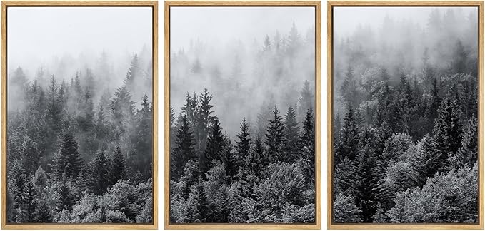 SIGNWIN Framed Canvas Print Wall Art Set Black & White Misty Mountain Forest Nature Wilderness Photography Modern Art Chic Landscape Relax/Calm for Living Room, Bedroom, Office - 16"x24"x3 Natural