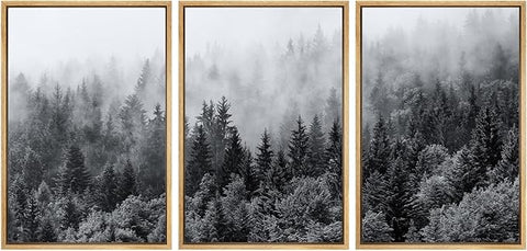 SIGNWIN Framed Canvas Print Wall Art Set Black & White Misty Mountain Forest Nature Wilderness Photography Modern Art Chic Landscape Relax/Calm for Living Room, Bedroom, Office - 16"x24"x3 Natural