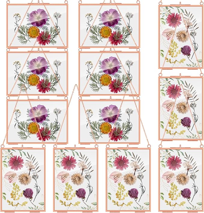Barydat 12 Pack Pressed Flowers Glass Frames, 5 x 7 Inch Brass Hanging Floating Frame with Chain, Double Glass Photo Display for Dried Flowers, Plant Specimen, Artwork Display (Rose Gold)