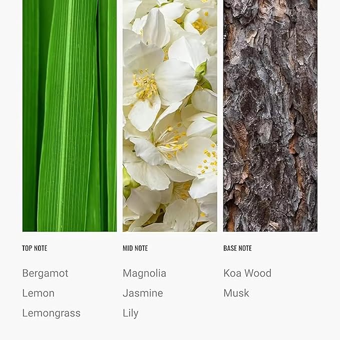 24K Magic Scent Diffuser Oil 500mL - Inspired by Luxury Hotel W Hotels - Notes of Zesty Citrus, Floral Jasmine, & Delicate Lily - Aromatherapy Home Fragrance - 24K Diffuser Oil - AH Diffuser Oils