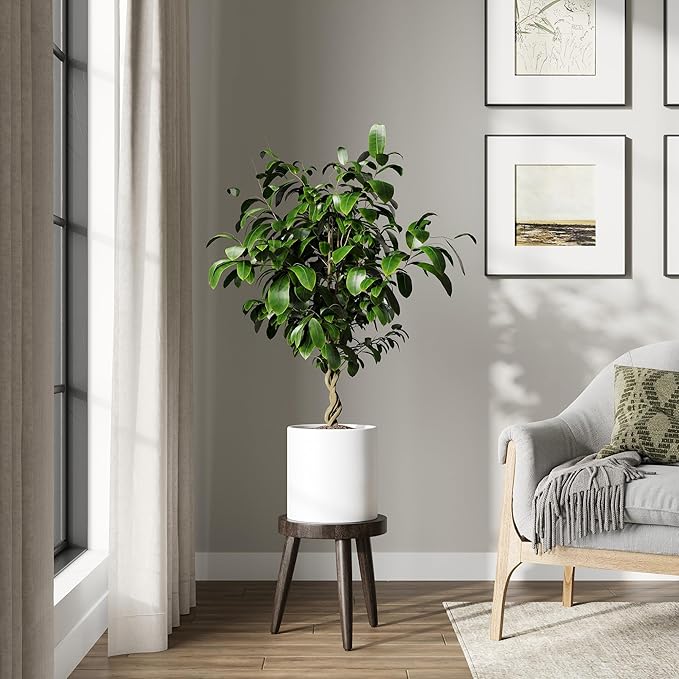 DTY Signature Mount Powell Fiberstone Planter - 10 Inch Small White Cylindrical Mid-Century Modern Home Decor Indoor & Outdoor Plant Pot - Durable Planters for Indoor Plants, Outdoor Spaces