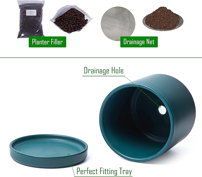 D'vine Dev 6 Inch Ceramic Planter Pot with Drainage Hole and Saucer, Indoor Cylinder Round Planter Pot, Teal, 94-O-C-9