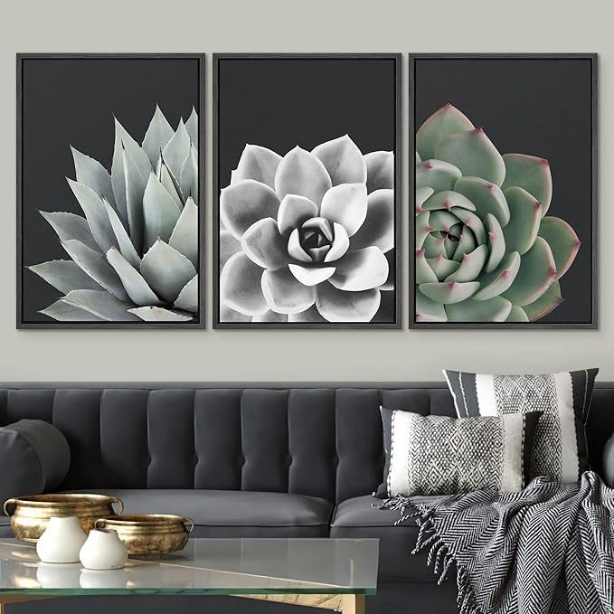SIGNWIN Framed Wall Art Print Set Desert Rose Echeveria Succulent Set Nature Plants Photography Modern Art Closeup Relax/Calm Dark Black and White for Living Room, Bedroom, Office - 24"x36"x3 Black