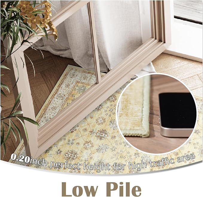 jinchan Area Rug 2x3 Washable Vintage Floral Rug Indoor Entryway Non-Slip Door Mats Soft Carpet for Living Room Bedroom Bathroom Home Office Taupe
