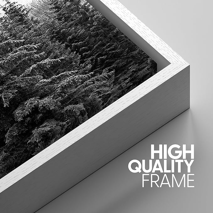SIGNWIN 3 Piece Framed Canvas Wall Art Woodland Nursery Decor Black and White Forest Photo Nature Illustrations Abstract Traditional Home Artwork Decoration for Living Room,Bedroom - 16"x24"x3 White