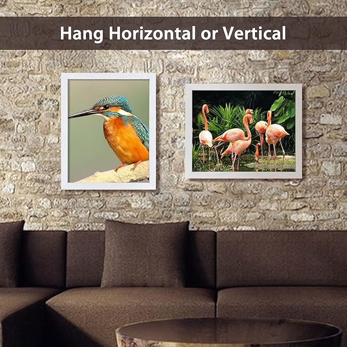 VCK 16x20 Poster Frame in White with Polished Plexiglass Set of 5 Horizontal and Vertical Formats with Included Hanging Hardware