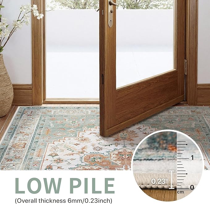 GENIMO 5X7 Area Rugs for Living Room, Machine Washable Vintage Floor Cover Foldable Modern Non Slip Rug, Low Pile Soft Indoor Carpet Floral Print Mat Rug,Bedroom/Dining Room/Home Office, Mint Green