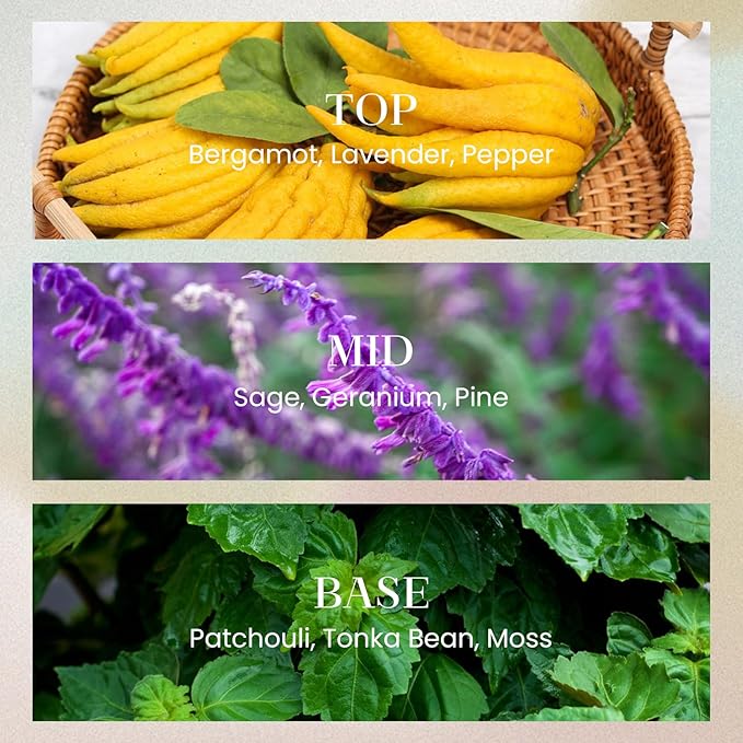 M&SENSE 10.14 oz Large Reed Diffuser Set | Midsummer Evening Scent Oil Diffuser with Sticks |Hotel Collection Non-Toxic Essential Oil |for Bedroom Bathroom Living Room