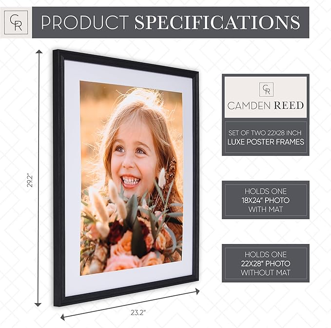 Camden Reed Set of Two Luxe Poster Frames Matted to 18x24 Inches, 22x28 Inch, Black