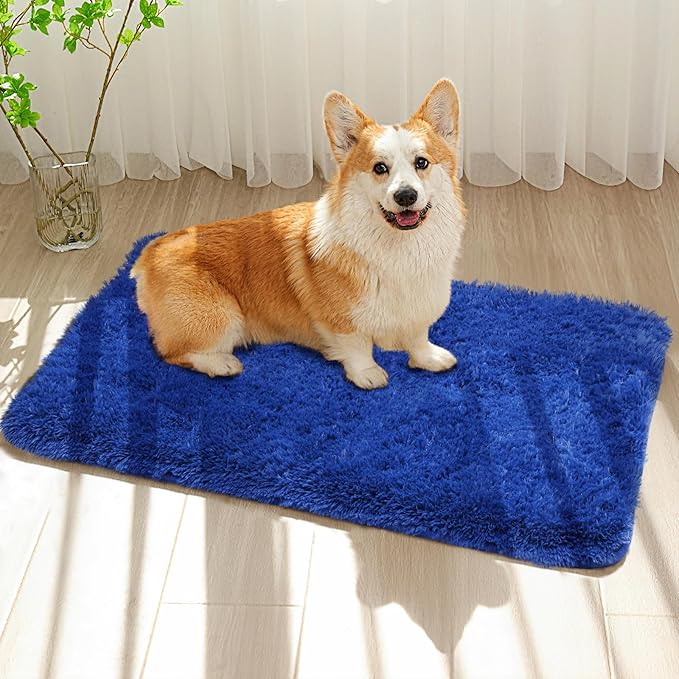 Small Bedside Rug, 2x3 Non Slip Fluffy Shaggy Entryway Throw Rugs for Bedroom Living Room, Indoor Floor Carpet for Kids Girls and Boys, Nursery Rooms Mat, Home Decor Aesthetic, Blue