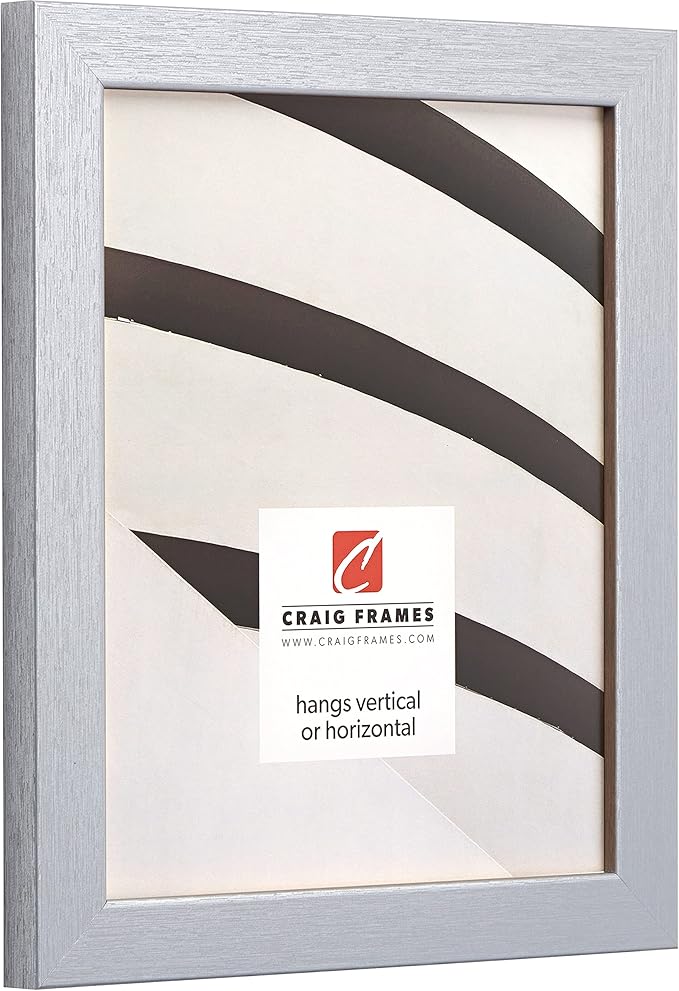 Craig Frames Essentials, Modern 1 Inch Wide 19 x 25 Inch Brushed Silver Picture Frame Matted to Display a 14 x 20 Inch Photo