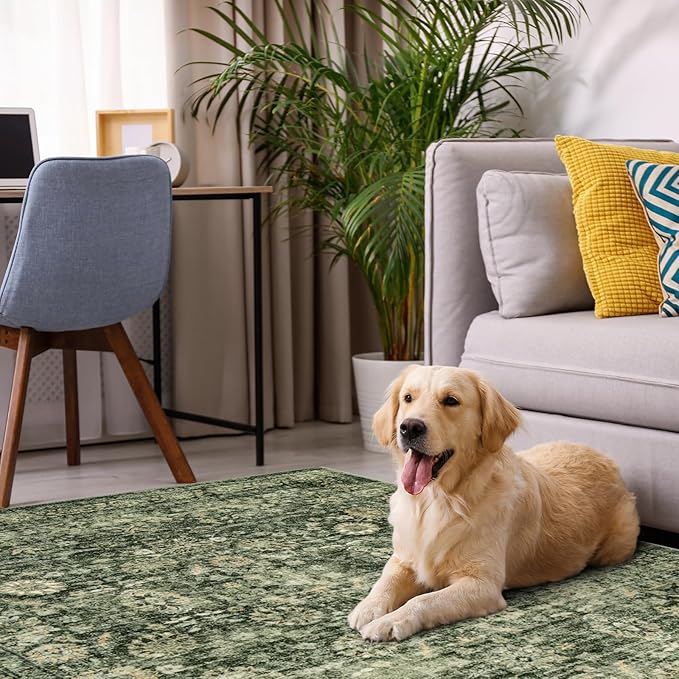 Morebes Vintage Living Room Rugs 6x9,Washable Green Area Rug Non Slip,Distressed Soft Floral Dorm Rug Boho Mat,Large Indoor Accent Floor Carpet for Nursery Kitchen Coffee Table Dining