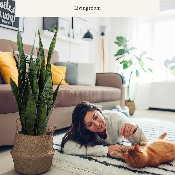 KOL 25.6’’ 2-Pack Artificial Snake Plant, Faux Sansevieria Indoor Plants, 32 Lifelike Leaves, Home Office Garden Room Decor Mother in Law Tongue, 2ft Fake Potted Houseplant, Green