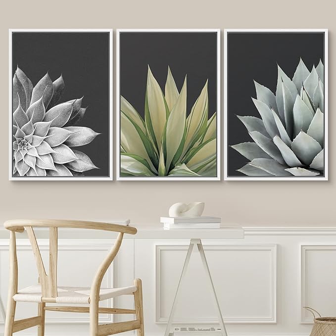 SIGNWIN Framed Canvas Print Wall Art Trio of Echevaria Succulents Floral Plants Photography Modern Art Minimalist Closeup Dramatic Black and White for Living Room, Bedroom, Office - 16"x24"x3 White