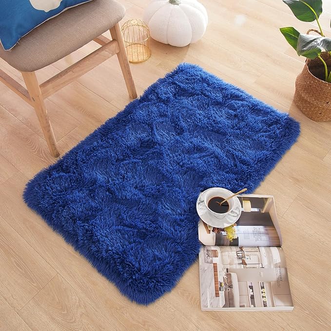 Small Bedside Rug, 2x3 Non Slip Fluffy Shaggy Entryway Throw Rugs for Bedroom Living Room, Indoor Floor Carpet for Kids Girls and Boys, Nursery Rooms Mat, Home Decor Aesthetic, Blue