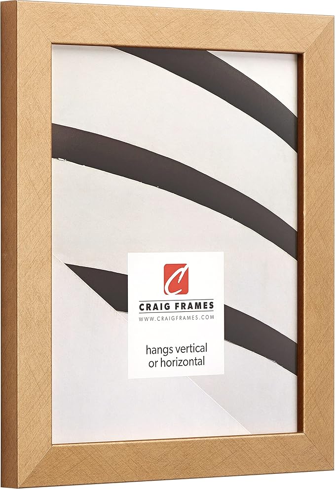 Craig Frames Essentials, Modern 1 Inch Wide 14 x 22 Inch Distressed Gold Picture Frame Matted to Display a 11 x 17 Inch Photo