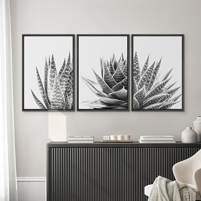 SIGNWIN Framed Wall Art Print Set Trio of Zebra Succulents Floral Plants Photography Modern Art Minimalist Closeup Dramatic Black and White for Living Room, Bedroom, Office - 24"x36"x3 Black