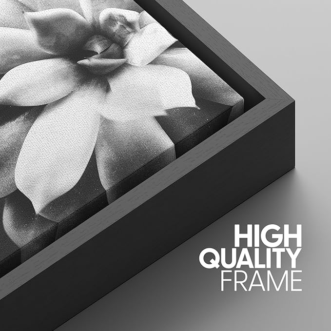 SIGNWIN Framed Wall Art Print Set Echeveria Succulent Variety Nature Plants Photography Modern Art Closeup Relax/Calm Dark Black and White for Living Room, Bedroom, Office - 16"x24"x3 Black