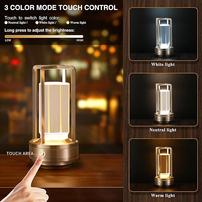 Portable Metal Table Lamp, Cordless Table Lamp, Rechargeable Battery Powered Portable LED Desk Lamp, 3 Color Stepless Dimming Touch, for Bedroom Restaurant Home Outdoor (2 Set of Silver)