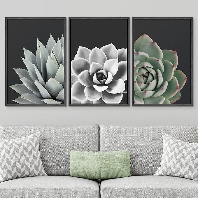 SIGNWIN Framed Wall Art Print Set Desert Rose Echeveria Succulent Set Nature Plants Photography Modern Art Closeup Relax/Calm Dark Black and White for Living Room, Bedroom, Office - 24"x36"x3 Black