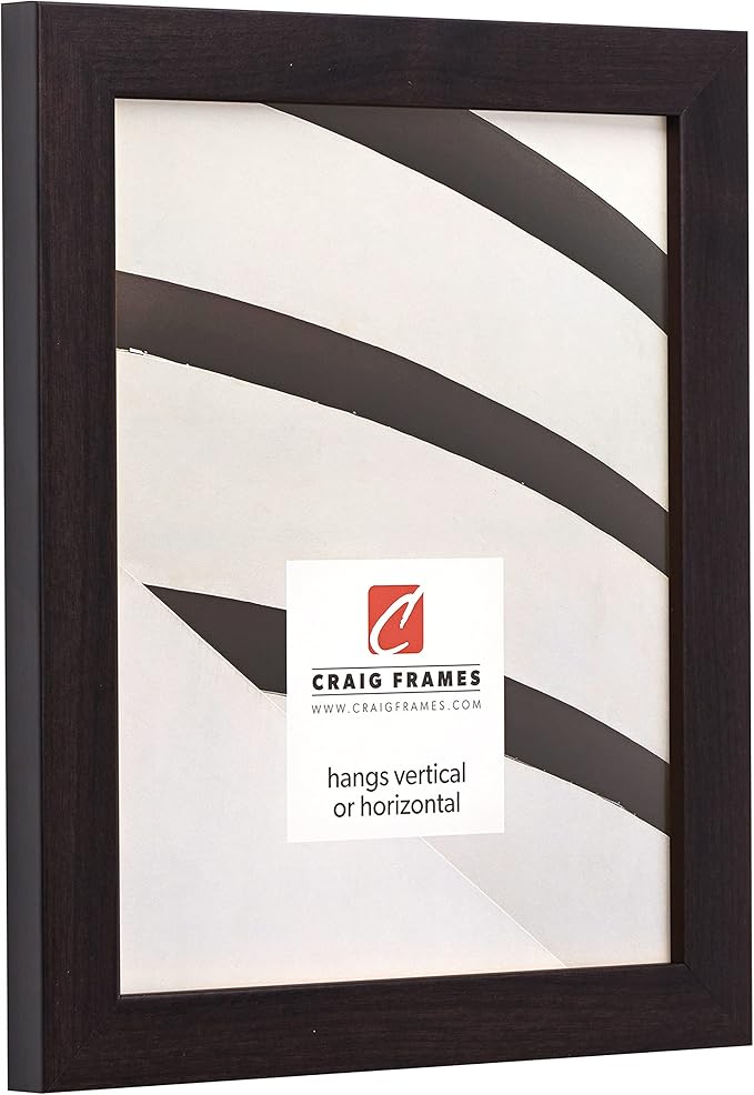 Craig Frames Essentials, Modern 1 Inch Wide 17 x 22 Inch Brazilian Walnut Picture Frame Matted to Display a 13 x 19 Inch Photo