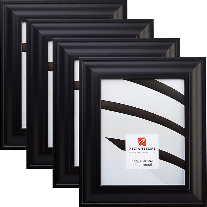 Craig Frames Upscale, 16x20 Picture Frame, Satin Black, Set of 4