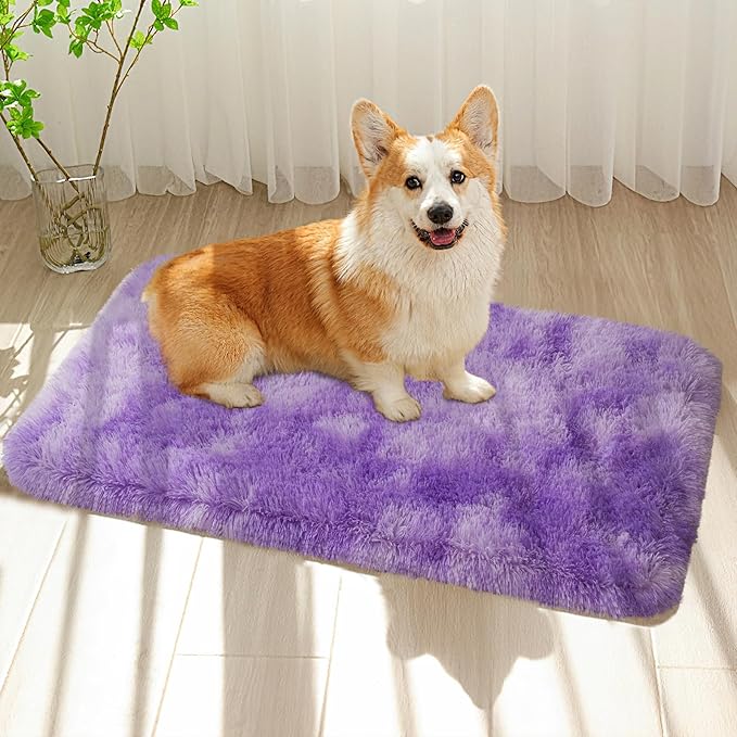 Purple 2x3 Fluffy Area Rug for Girls Bedroom, Kids Playroom, Nursery Room, Teen Living Room, Dorm, Baby Room Decor
