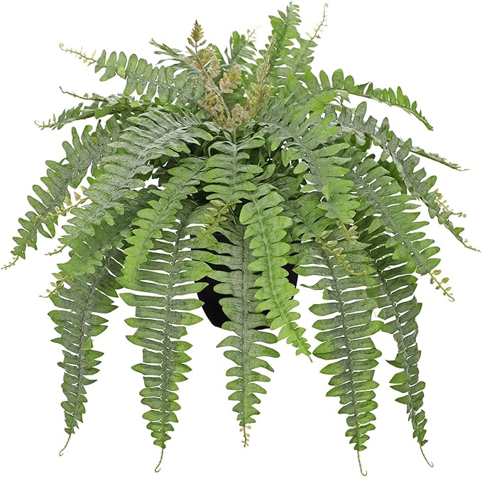 Hollyone Artificial Fern Plants in Pot 25.5" Medium Artificial Boston Fern 31 Leaves for Outdoors & Indoor Faux Potted Plant Fake Ferns Bush Plant Patio Garden Farmhouse Porch Home Decor Dusty Green