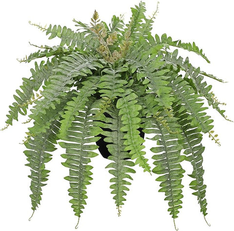 Hollyone Artificial Fern Plants in Pot 25.5" Medium Artificial Boston Fern 31 Leaves for Outdoors & Indoor Faux Potted Plant Fake Ferns Bush Plant Patio Garden Farmhouse Porch Home Decor Dusty Green