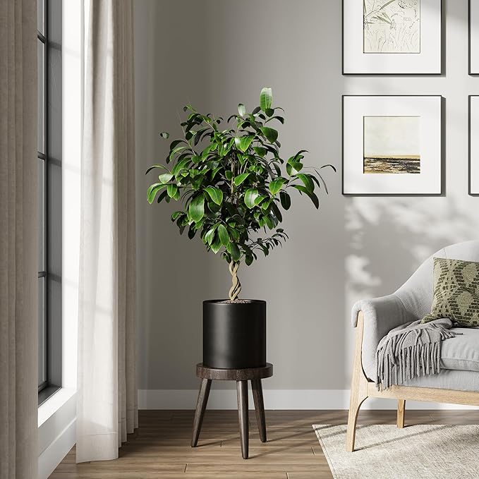 DTY Signature Mount Powell Fiberstone Planter - 10 Inch Small Black Cylindrical Mid-Century Modern Home Decor Indoor & Outdoor Plant Pot - Durable Planters for Indoor Plants, Outdoor Spaces