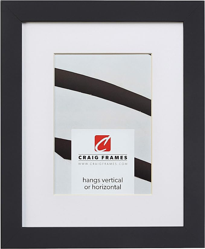 Craig Frames Essentials, Modern 1 Inch Wide 20 x 26 Inch Black Picture Frame Matted to Display a 16 x 22 Inch Photo