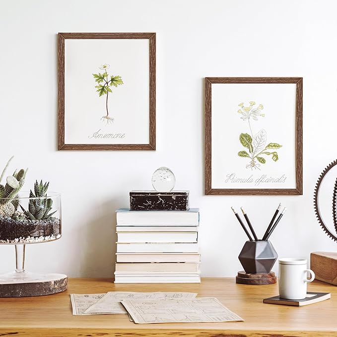 Solid Oak Wood Frame 8x10, 8 x 10 Frame Set of 3, 8"x10" Photo Frames with Stand, 8 by 10 Frame for Wall & Tabletop Display, 8x10 Wood Frame, Walnut Color