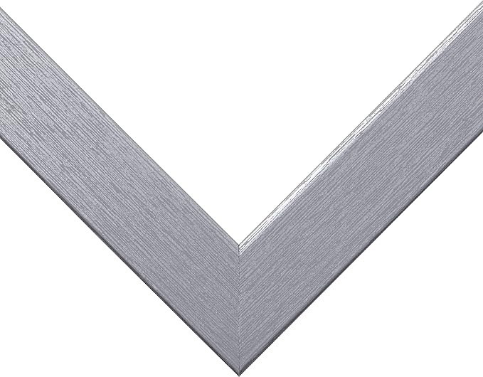 Craig Frames Essentials, Modern 1 Inch Wide 19 x 25 Inch Brushed Silver Picture Frame Matted to Display a 14 x 20 Inch Photo