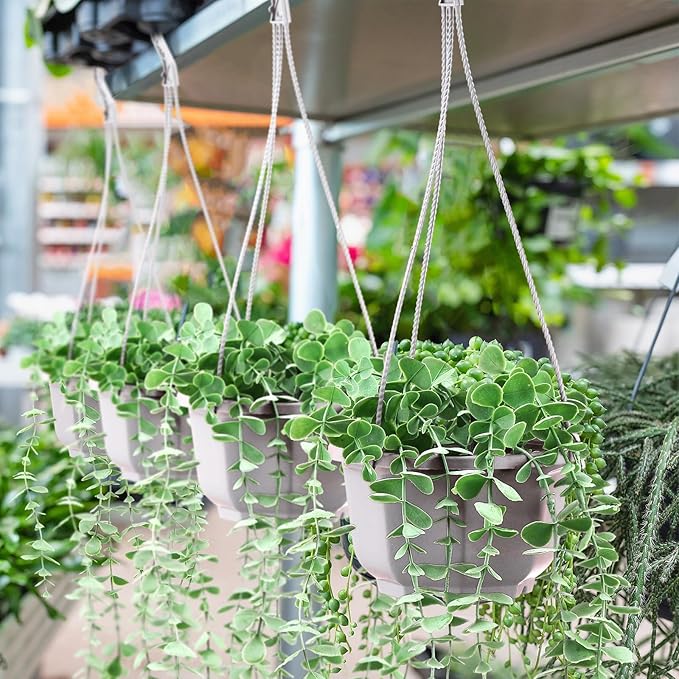 Roshtia 50 Pcs Plastic Hanging Plant Pots with Hooks Flower Pots Baskets Outdoor Hanging Nursery Planter Holder for Home Garden Balcony Porch(Gray White,5.9 inch)