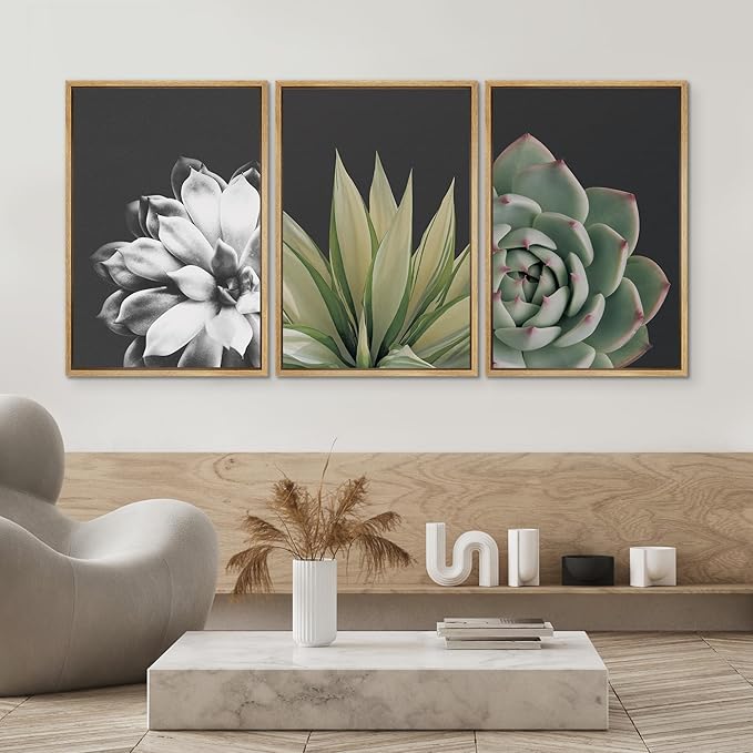 SIGNWIN Framed Wall Art Print Set Echeveria Succulent Variety Nature Plants Photography Modern Art Closeup Relax/Calm Dark Black and White for Living Room, Bedroom, Office - 16"x24"x3 Natural