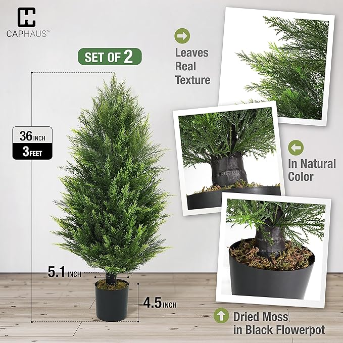 CAPHAUS 3 FT Artificial Cedar Tree Set of 2-36 Inch UV Resistant Faux Topiary Trees with Dried Moss for Indoor/Outdoor | Porch, Patio & Garden Decor