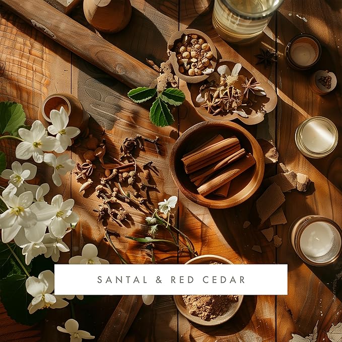 Monthly Fragrance Cartridge for Whisper Home - Santal & Red Cedar