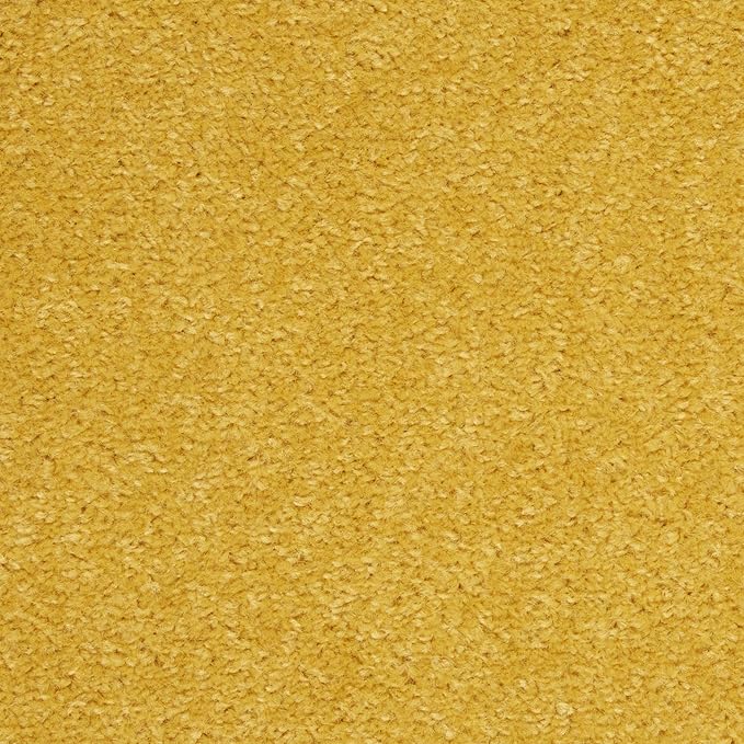 Nourison Essentials Indoor/Outdoor Yellow 10' x 14' Area Rug, Easy Cleaning, Non Shedding, Bed Room, Living Room, Dining Room, Backyard, Deck, Patio (10x14)