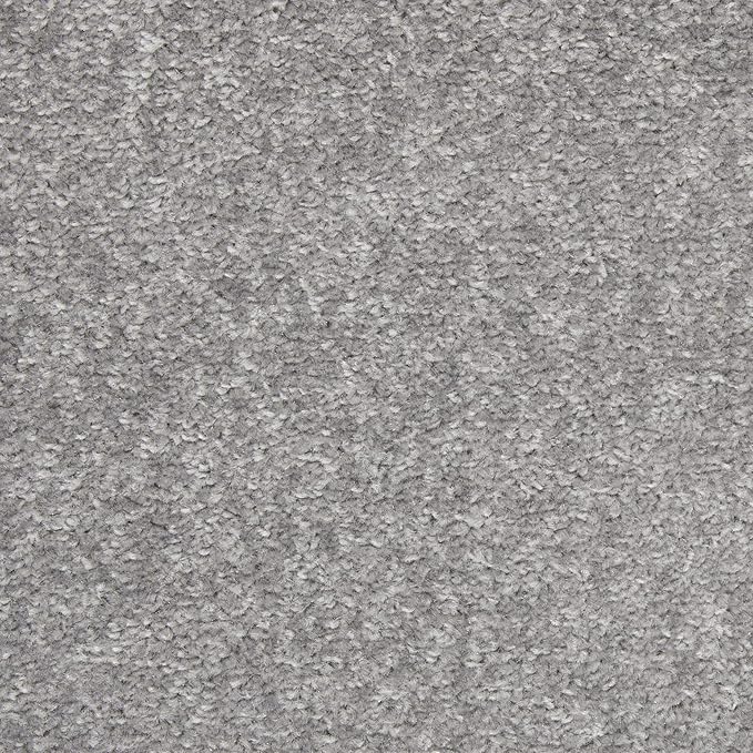 Nourison Home Essentials Solid Contemporary Silver Grey 4' X 6' Area Rug , 4' X 6'