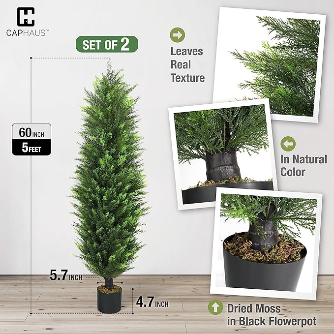 CAPHAUS 5 FT Artificial Cedar Tree Set of 2-60 Inch UV Resistant Faux Topiary Trees with Dried Moss for Indoor/Outdoor | Porch, Patio & Garden Decor
