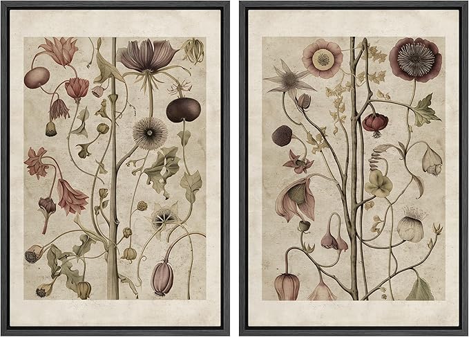 MUDECOR Framed Canvas Print Wall Art Wildflower Floral Botanical Nature Illustration Modern Art Decorative Multicolor Geometric Minimal for Bedroom - 16"x24"x2 Black