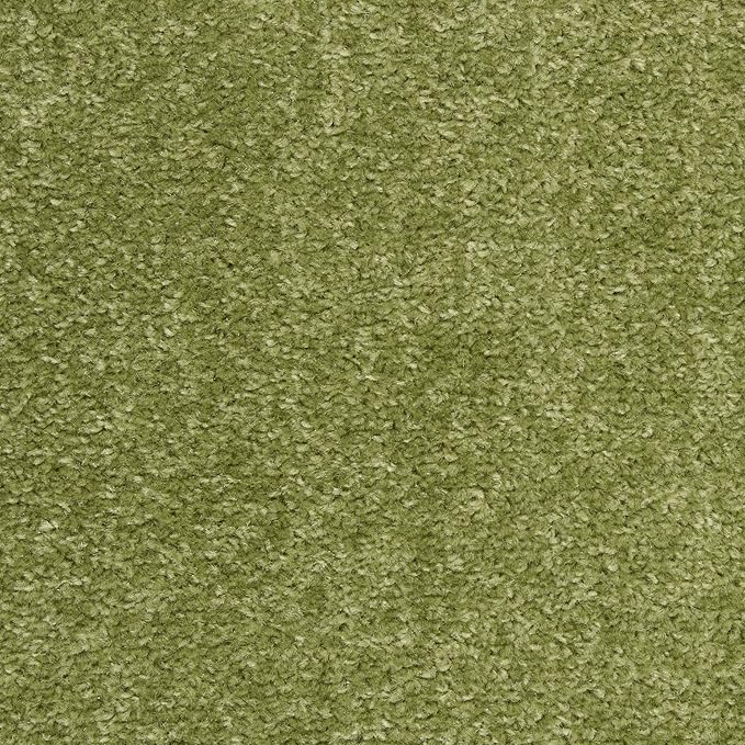 Nourison Home Essentials Indoor/Outdoor Green 6' x 9' Area Rug, Easy Cleaning, Non Shedding, Bed Room, Living Room, Dining Room, Backyard, Deck, Patio (6x9)