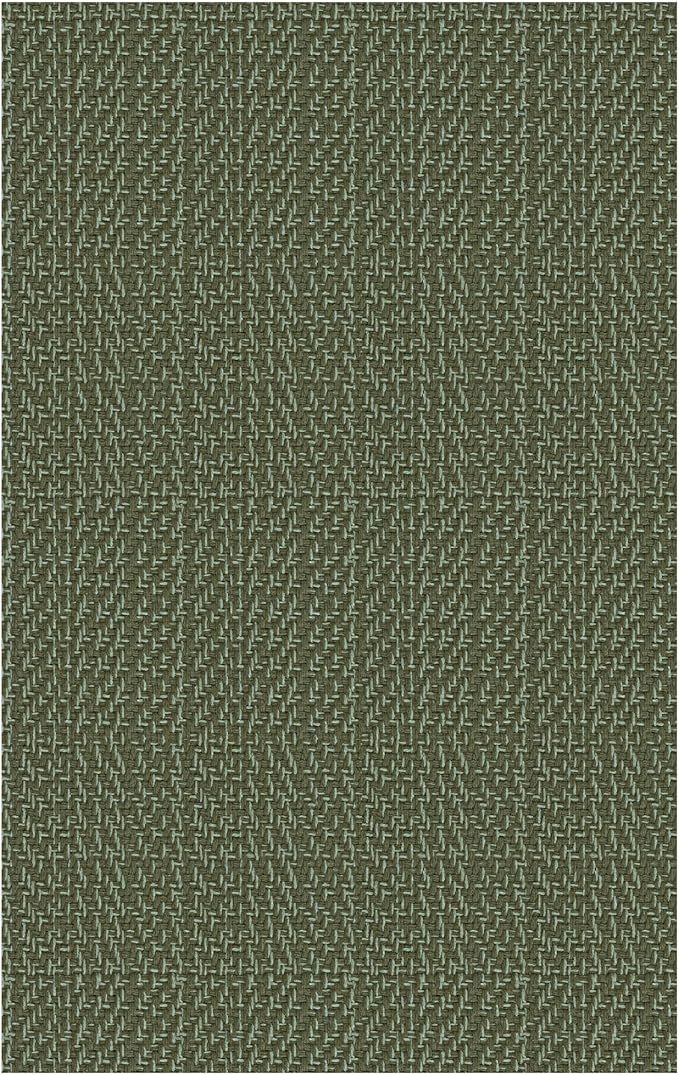 IOHOUZE Small Area Rug 2x3 Washable Woven Rugs for Entryway Non Slip Rubber Backed Front Door Rugs Indoor Doormat Throw Rug Floor Carpet for Entrance Kitchen, Olive Green/Dusty Green