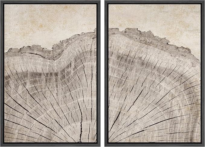 MUDECOR Framed Canvas Print Wall Art Oak Wood Tree Rings Nature Illustration Modern Art Decorative Multicolor Geometric Minimal for Bedroom - 24"x36"x2 Black