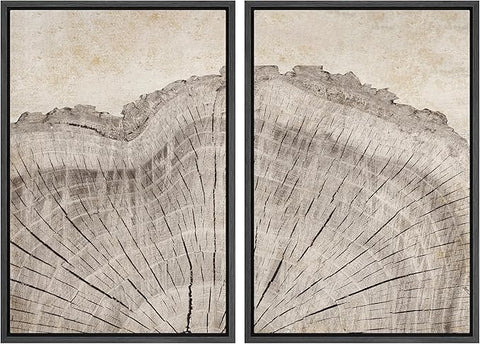 MUDECOR Framed Canvas Print Wall Art Oak Wood Tree Rings Nature Illustration Modern Art Decorative Multicolor Geometric Minimal for Bedroom - 24"x36"x2 Black