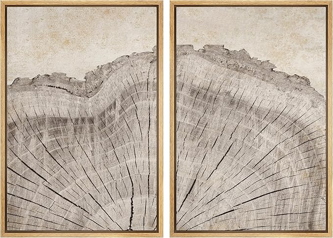 MUDECOR Framed Canvas Print Wall Art Oak Wood Tree Rings Nature Illustration Modern Art Decorative Multicolor Geometric Minimal for Bedroom - 16"x24"x2 Natural